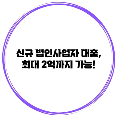신규 법인사업자 대출, 최대 2억까지 가능!