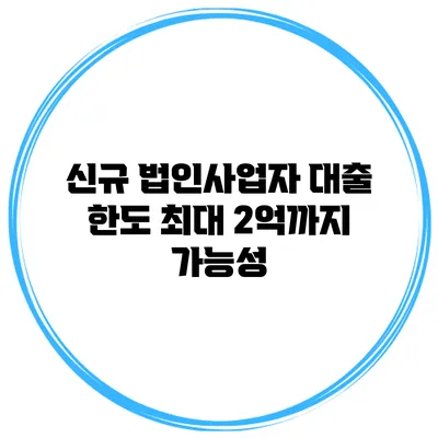 신규 법인사업자 대출 한도 최대 2억까지 가능성