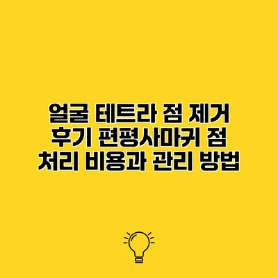 얼굴 테트라 점 제거 후기 편평사마귀 점 처리 비용과 관리 방법