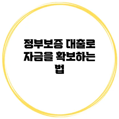 정부보증 대출로 자금을 확보하는 법