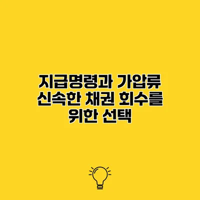 지급명령과 가압류 신속한 채권 회수를 위한 선택