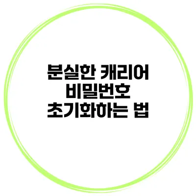 분실한 캐리어 비밀번호 초기화하는 법