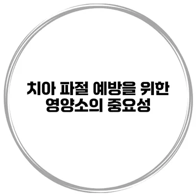 치아 파절 예방을 위한 영양소의 중요성