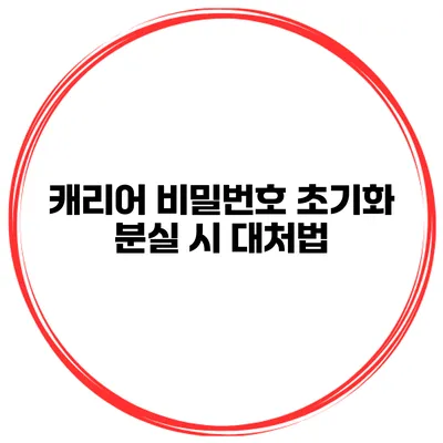 캐리어 비밀번호 초기화 분실 시 대처법